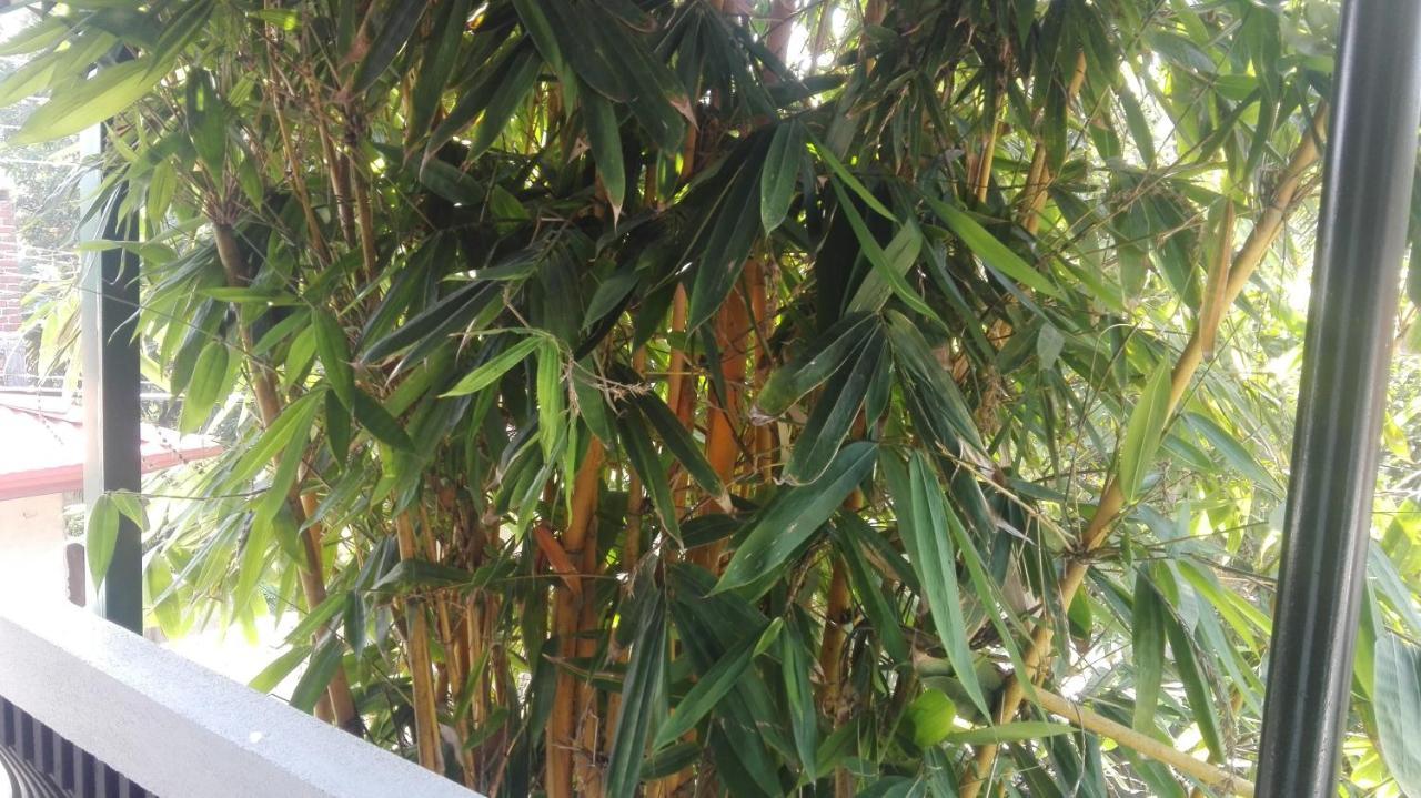 Mango Roots Apartment Gampaha Bagian luar foto