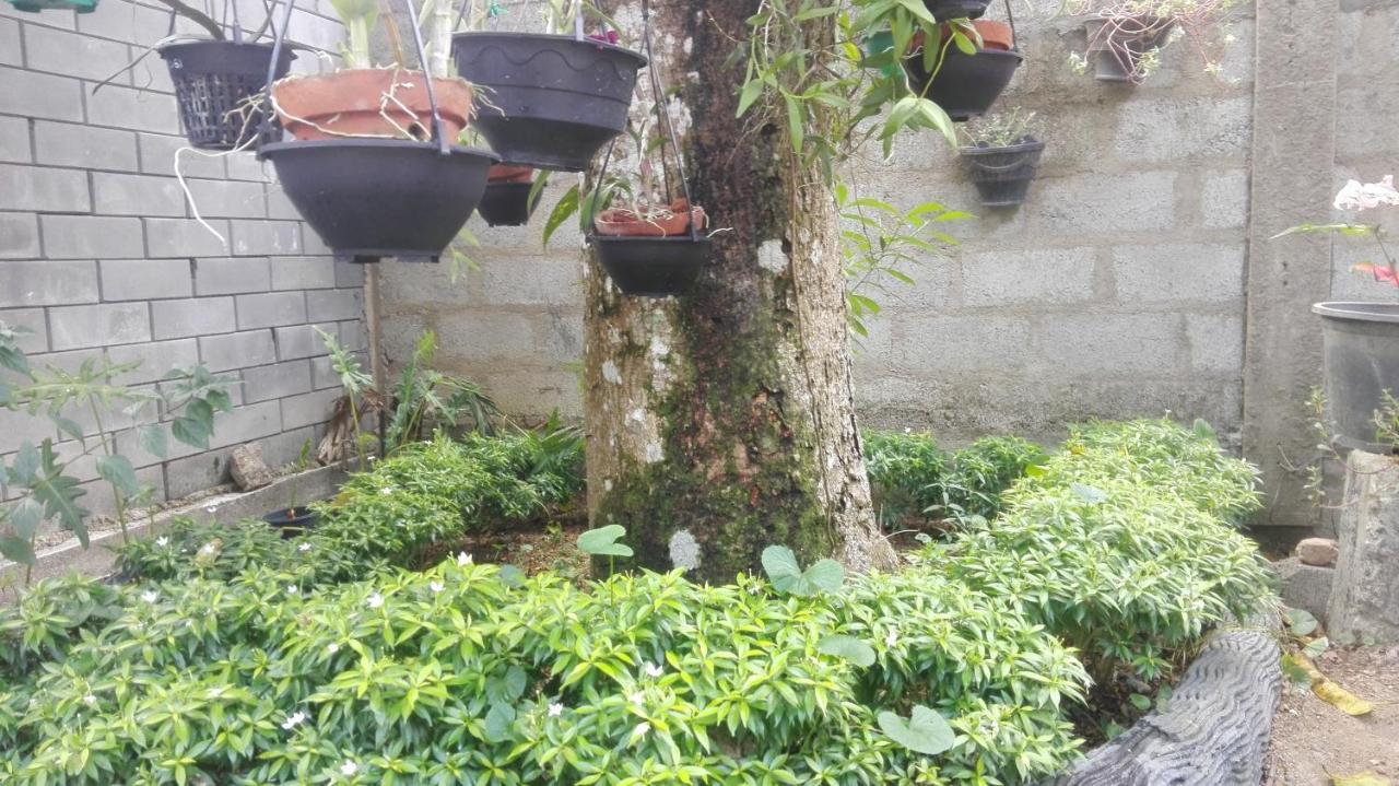 Mango Roots Apartment Gampaha Bagian luar foto